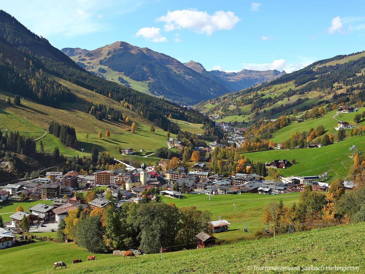 Saalbacher Perle - Slb350 By Interhome Lejlighed Saalbach-Hinterglemm